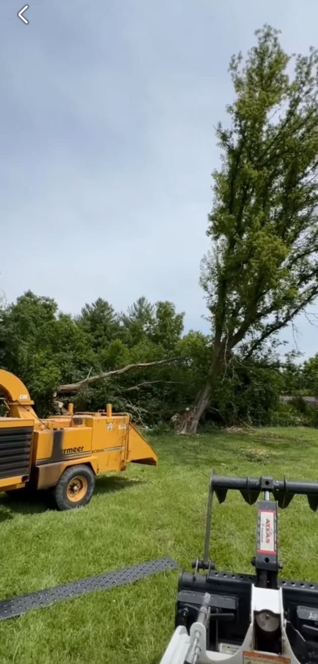 Yellow wood chipper in a field with a tall tree leaning in the background.
